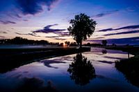 Weerspiegeling boom horizontaal