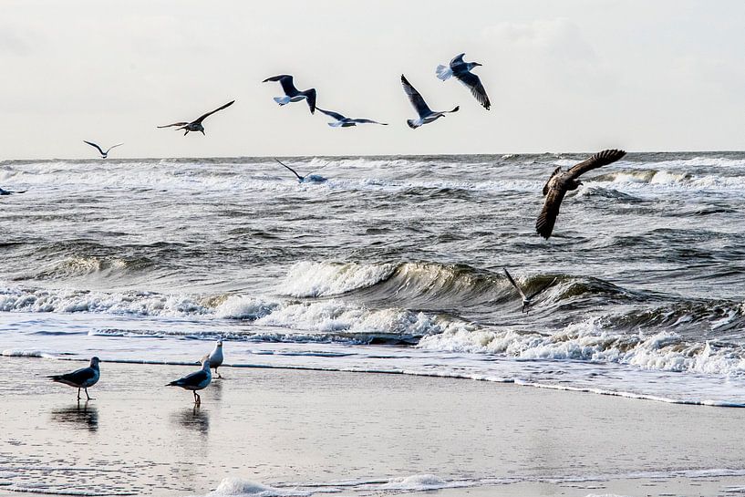 Die Jagd auf Hoch und Tief........ von Annelies Martinot