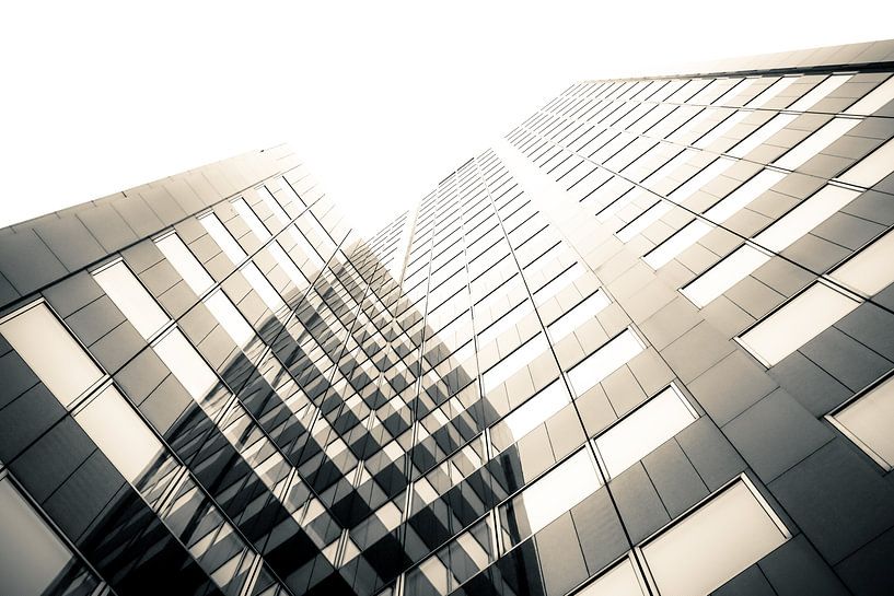 Moment of Clarity par Cho Tang