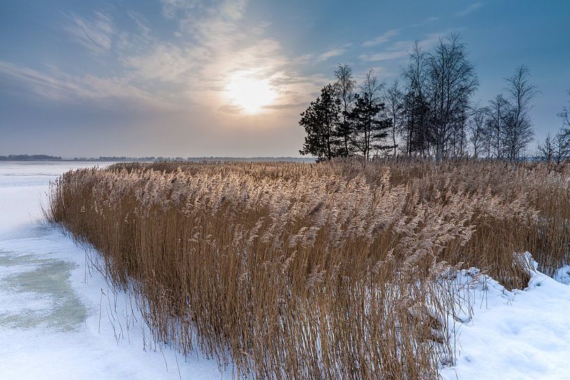 Winter am Bodden bei Wiek von Rico Ködder