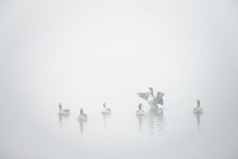 Le chœur par rob creemers
