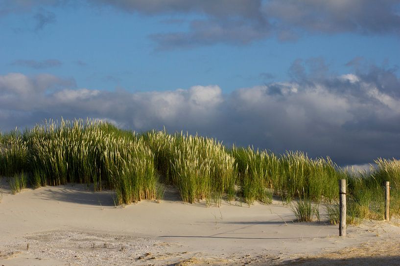 Ameland Duinen by John ten Hoeve