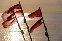 Meerblick mit roten Flaggen