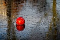 Das Eis ist der Torwart