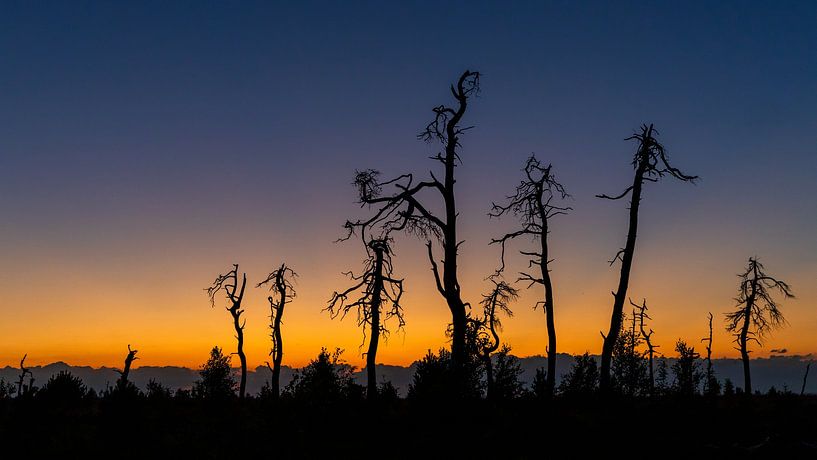 Sonnenuntergang Noir Flohay von Marcel Ohlenforst