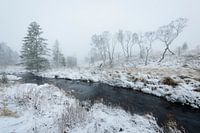 Rivier in sneeuwlandschap