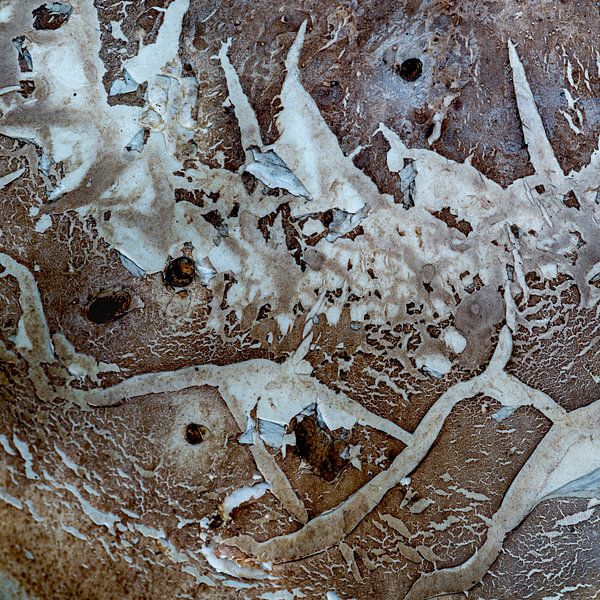 Abstractie in de natuur van Eugene Winthagen