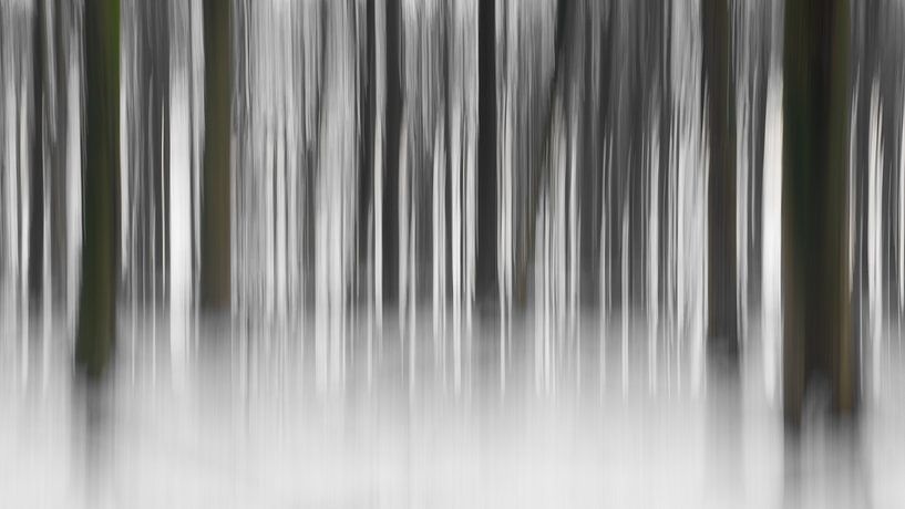 Forest barcode von Eliberto