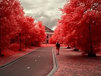 the lonely bike path