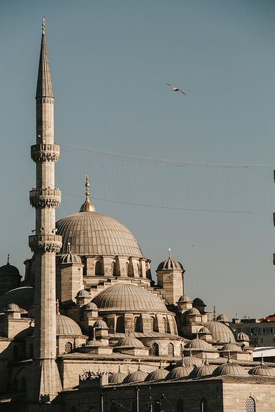 Istanbul von Hello Pompoyo