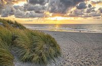 Beach entrance Texel / Beach entrance Texel