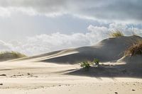 Dusty sand in the Dutch dunes