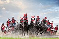 Paarden menwedstrijd