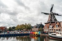 Dutch Ladies Presentation European Cycling Championship 2023 | Meppel