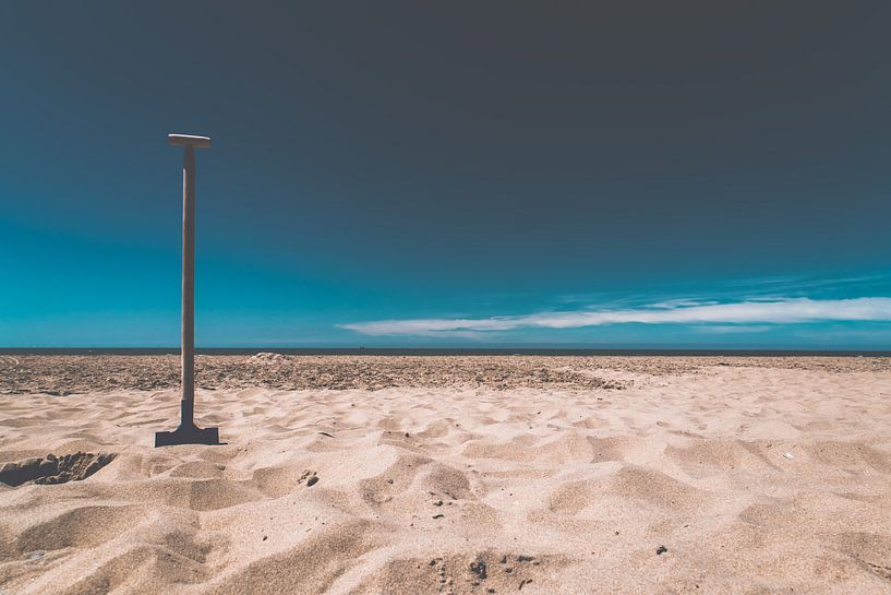 Pelle dans le sable par Michael Ruland