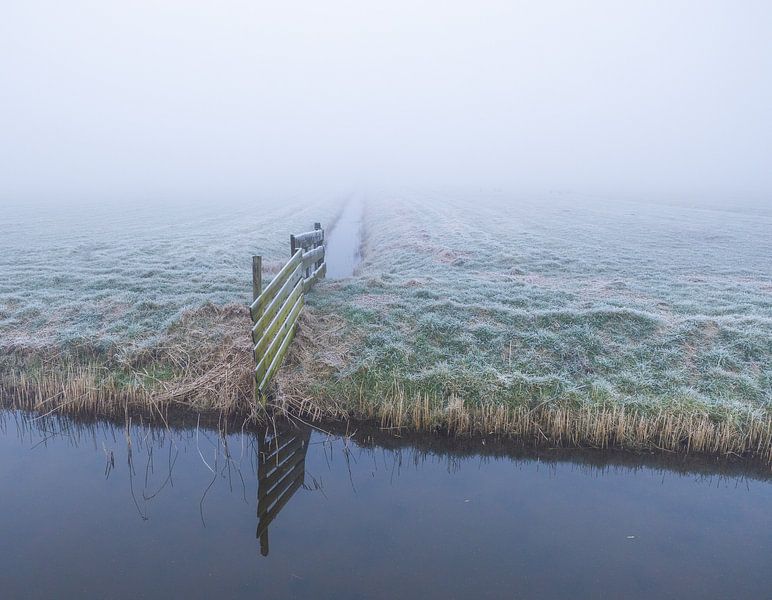 Nebliger Polder von peterheinspictures