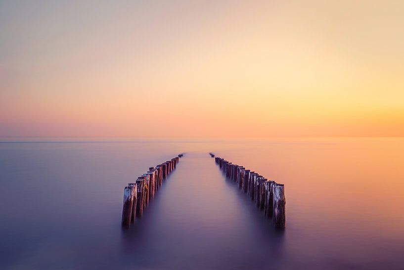 DERNIÈRES COULEURS par FLPX