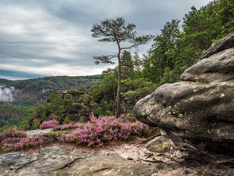 Kleiner Winterberg, Saxon Switzerland - Rock plateau and Försters Loch by Pixelwerk