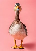 duck in pink