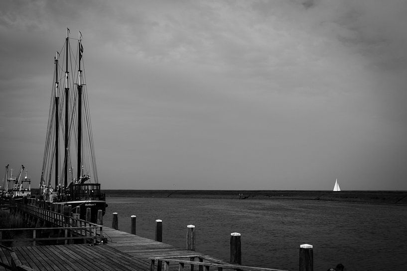 De haven van Stavoren van Peter Bouwknegt