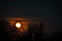 Der Teufel der Natur