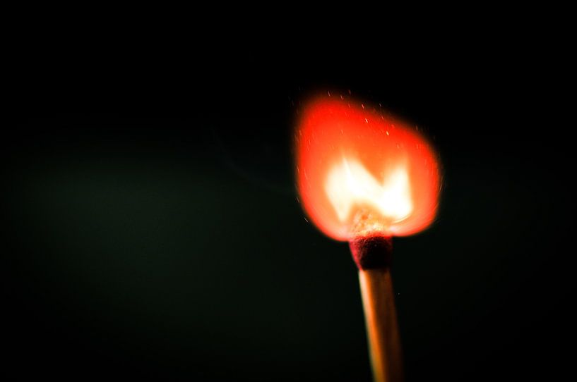 Fire by Thomas Poots