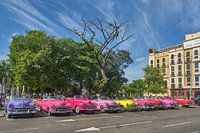 Fahren Sie bunte Oldtimer im Parque Central