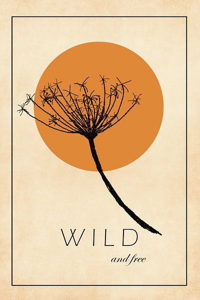 Wild and free, wild carrot with setting sun by KB Design & Photography (Karen Brouwer)