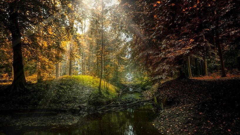 Moody Nature par Klaas Fidom