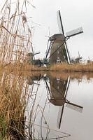 Molens werelderfgoed Kinderdijk