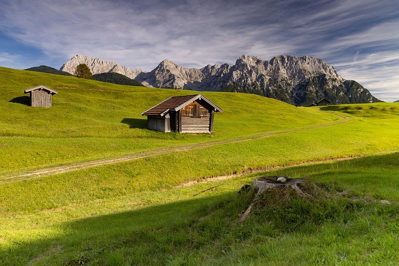 Hump meadows with Karwendel mountains by Andreas Müller