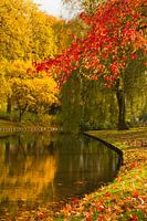 Herbstfoto von Der Park, Rotterdam
