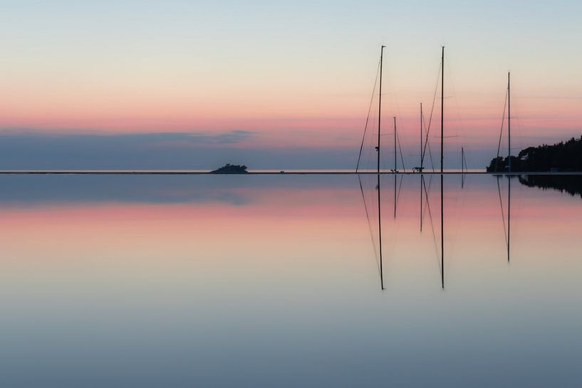 Reborn 2 par Nina Rotim