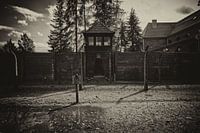 Der Wachturm von Auschwitz