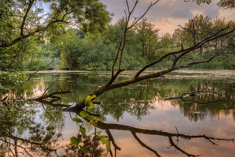 Vergane glorie von Marc Crutzen