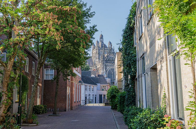 St. John's September morning by Anton van Hoek