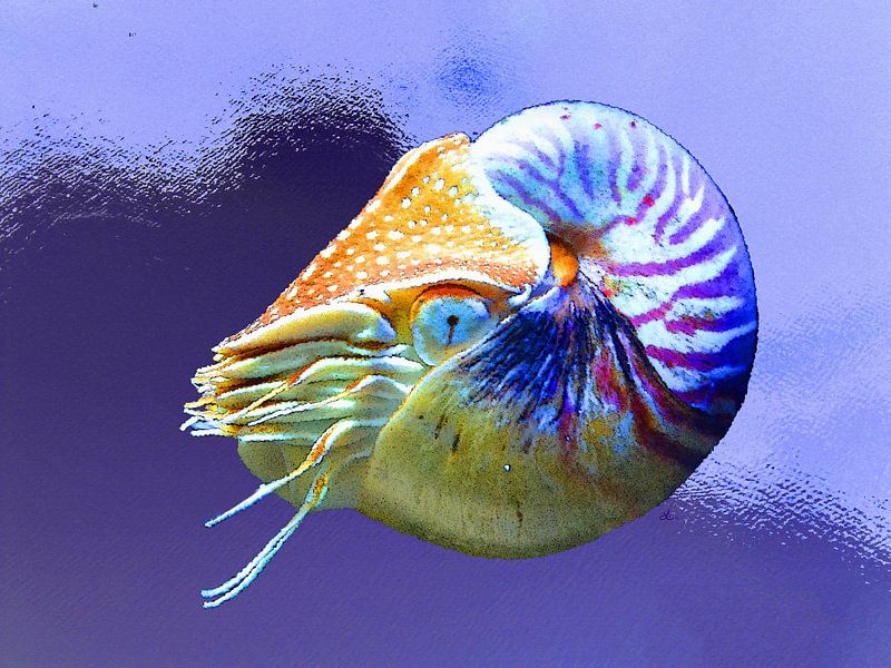 Underwater world | 02 by Dirk H. Wendt