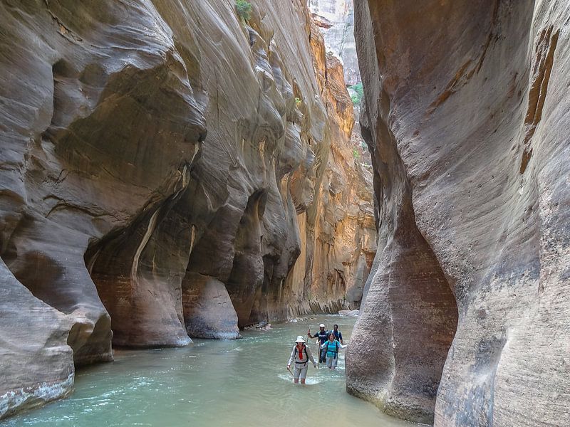 Zion Narrows 2 von Jasper Los