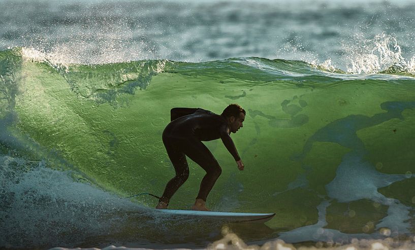 Adrénaline par Emilio Pino