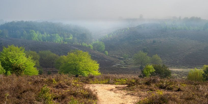 Misty morning by John Goossens Photography