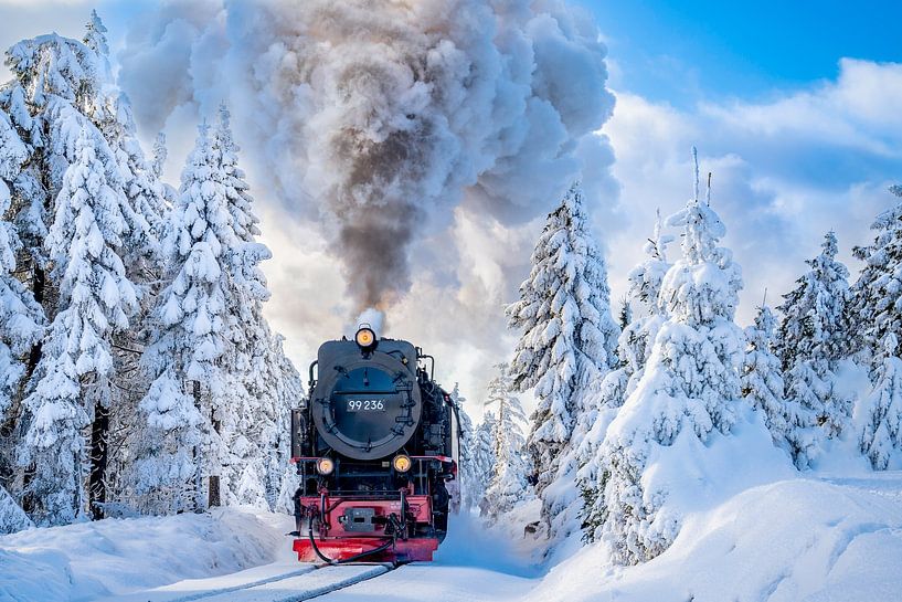 Le Harz par Gerrit de Groot