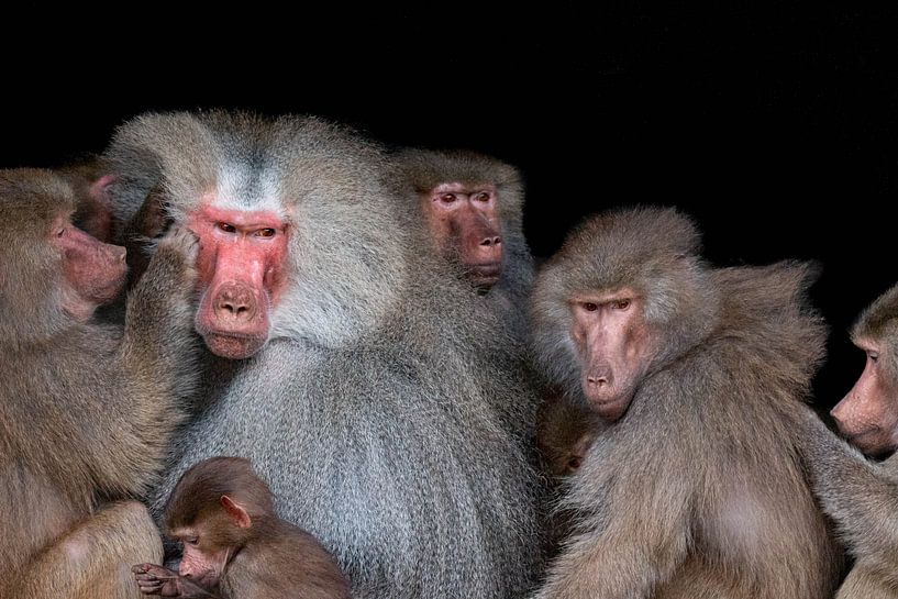 family by Nicolette Uchtmann