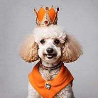 King's Day Kollektion