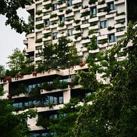 Forêt verticale - Wonderwoods Utrecht