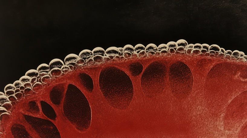 Pommegranate by Franka Poulain