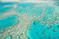 Great Barrier Reef