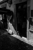 Un chat assis dans l'embrasure d'une porte à Lisbonne