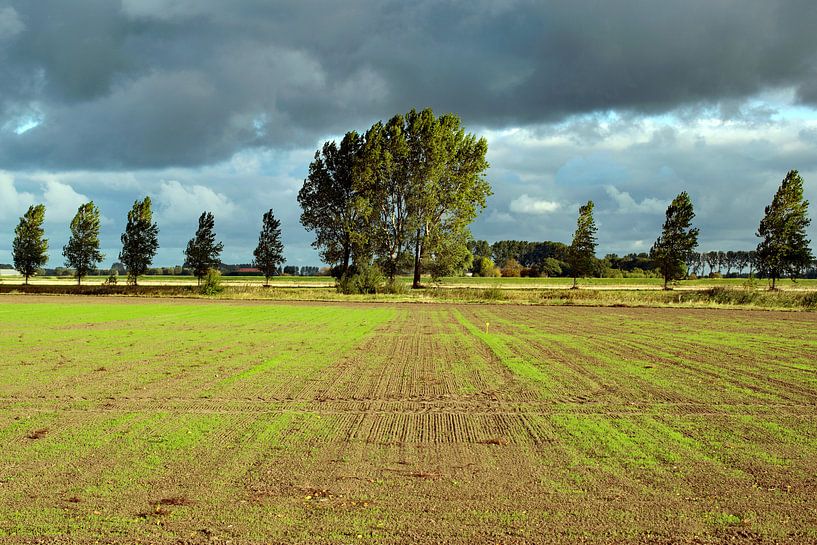 Polder de Flandre zélandaise sous le soleil du matin par Anne Hana