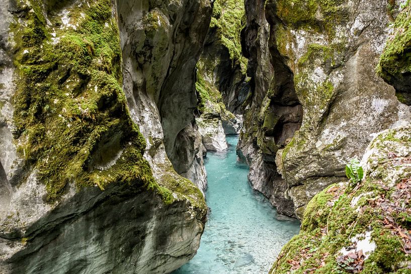 The Sweetwater Collection | Tolmin II van Lot Wildiers Photography