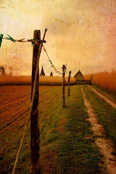 Küstenleben von Heike Hultsch